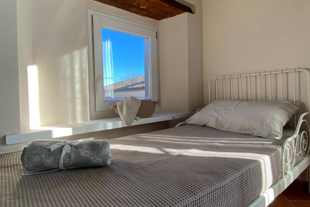 Villa Ginevri, La Casa Vacanze Immersa Nel Verde Mondavio Exterior foto