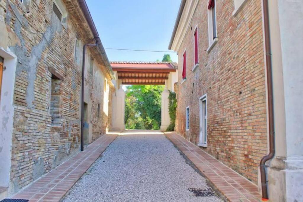 Villa Ginevri, La Casa Vacanze Immersa Nel Verde Mondavio Exterior foto